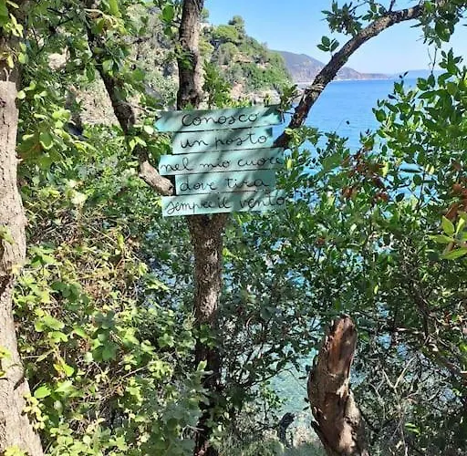 公寓 Relax Isola D'elba 里约滨海