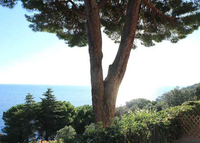 Relax Isola D'elba 公寓 *