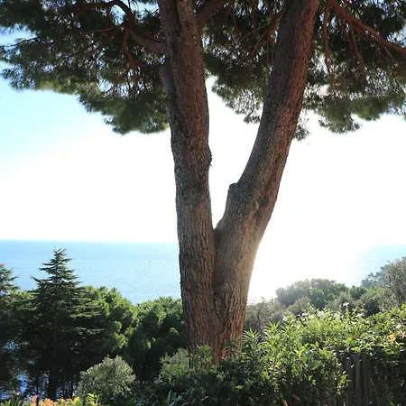 Relax Isola D'elba Appartamento *